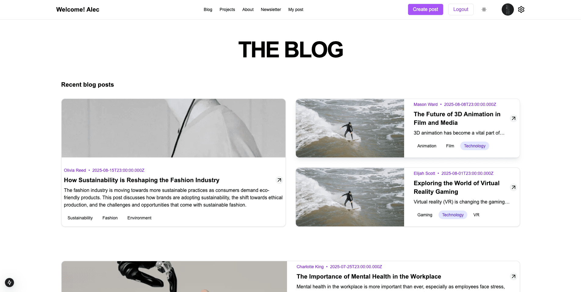 Screenshot of the Developer Blog Platform project